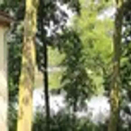 Am Vordersee, Dobbrikow, Cleaning Included Vakantiehuis Dobbrikow